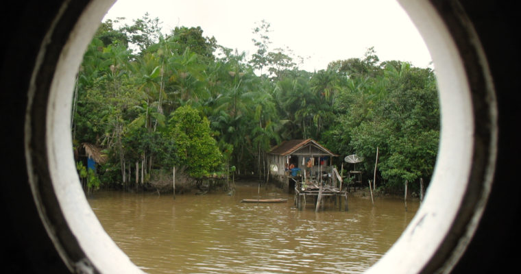 THE AMAZON TOILET