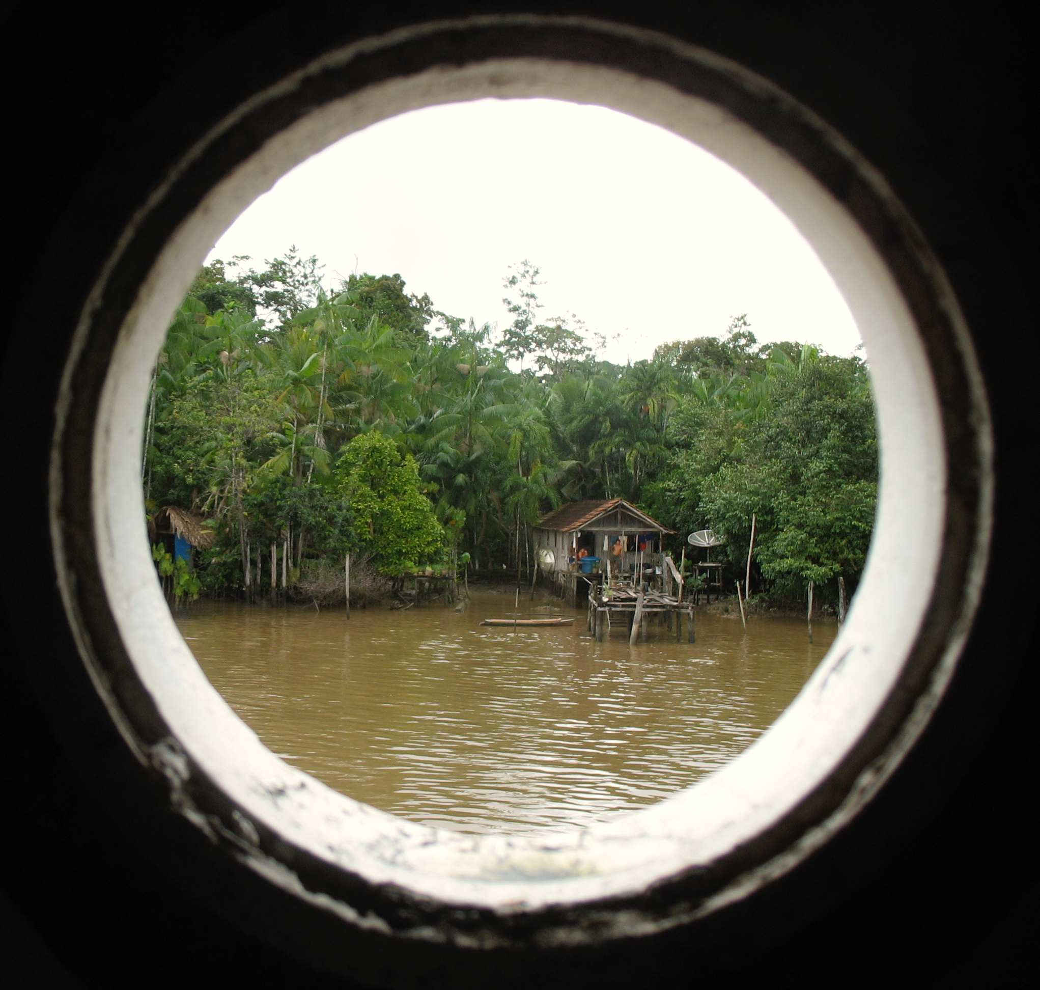 THE AMAZON TOILET