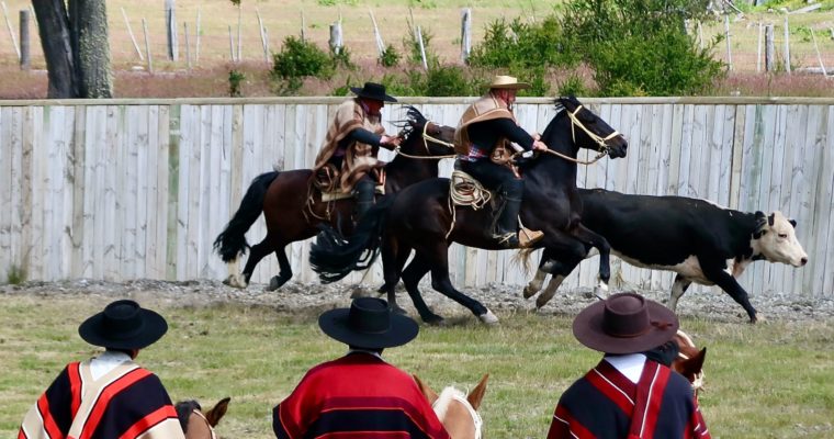 Chilenisches Rodeo