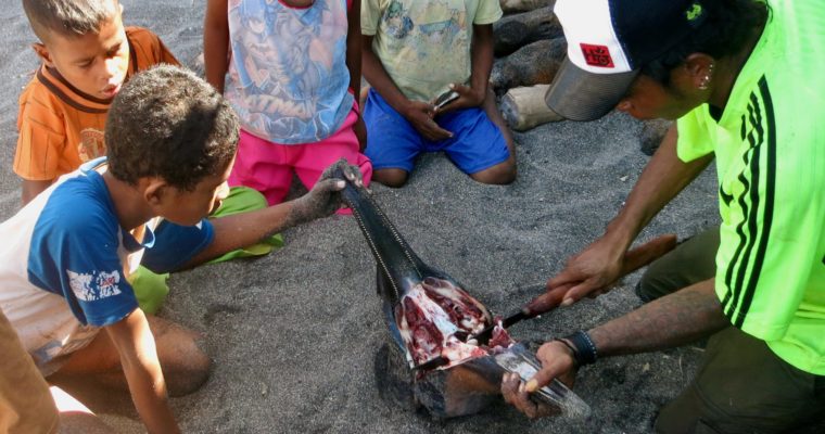 Lesson on the Beach