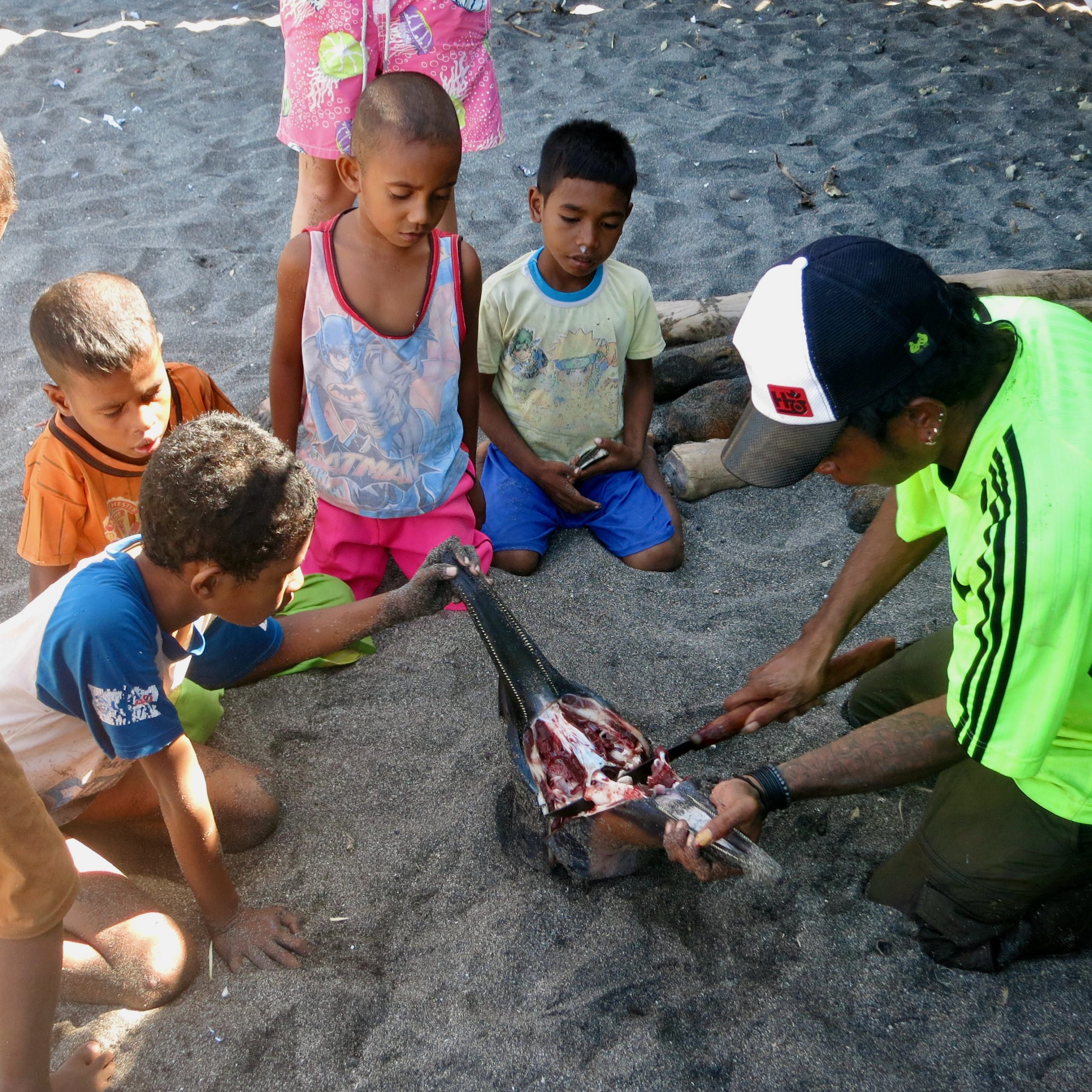 Lesson on the Beach